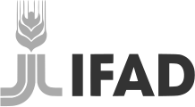 IFAD